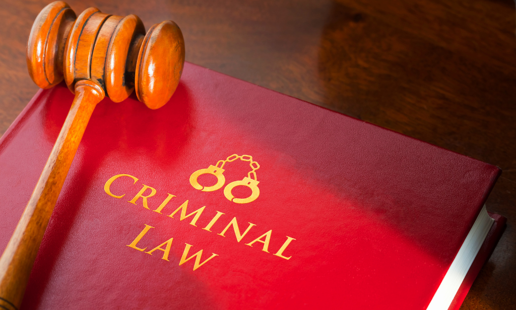 Best Cyber Crime Lawyer in Sector 59 Noida